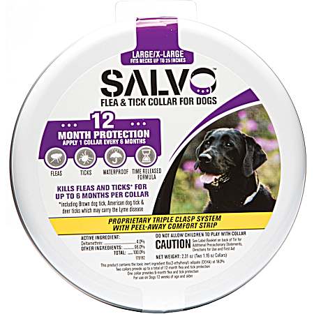 6-Month Large/X-Large Dog Flea & Tick Collar - 2 Pk