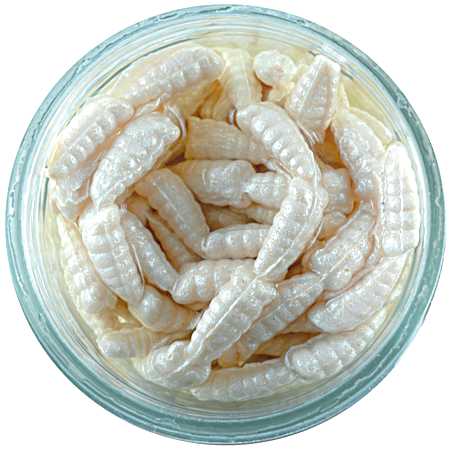 Gulp! Alive! 2 oz White Waxies Bait