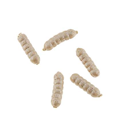 PowerBait Power Wigglers - White