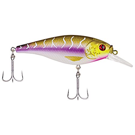Flicker Shad Purple Tiger Shallow Crankbait