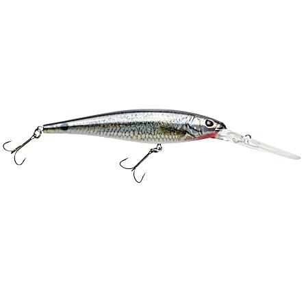 HD Spottail Shiner Flicker Minnow