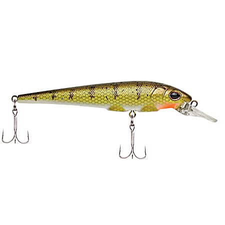 Yellow Perch Hit Stick Crankbait