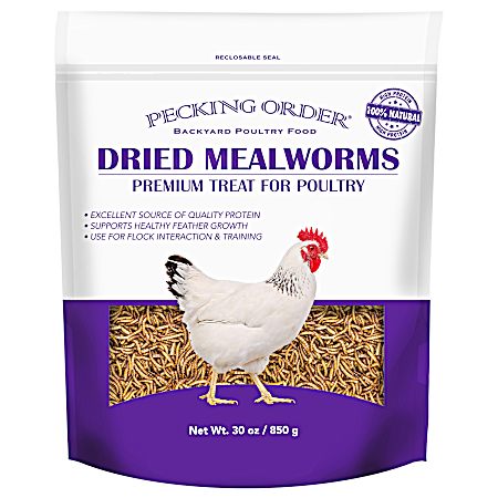 Dried Mealworms Premium Treat for Poultry