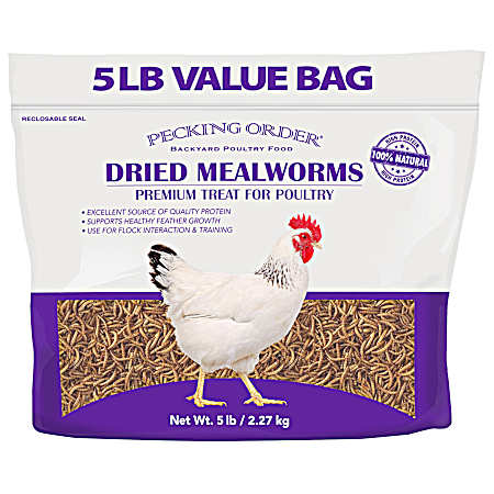 5 lbs Dried Mealworms Premium Treat for Poultry