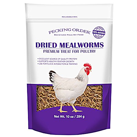 Dried Mealworms Premium Treat for Poultry