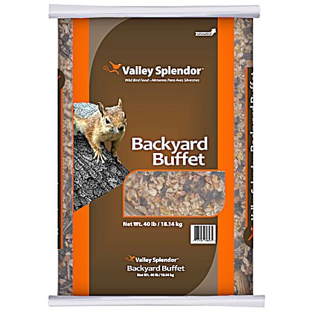 Backyard Buffet for Squirrels