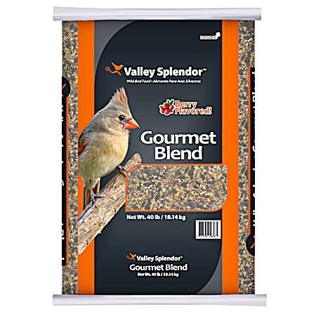 Gourmet Blend Wild Bird Food