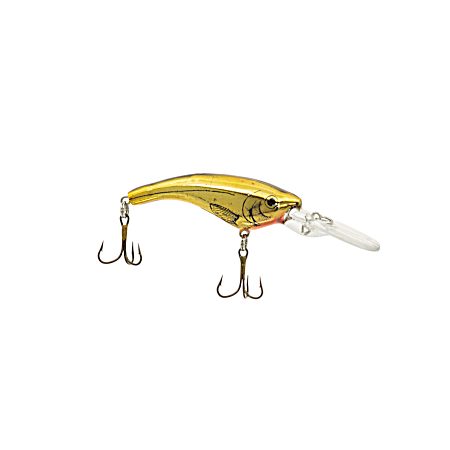 Ripshad - Golden Shiner