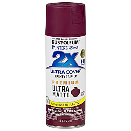 12 oz Painter's Touch 2X Ultra Cover Premium Ultra Matte Spray Paint & Primer