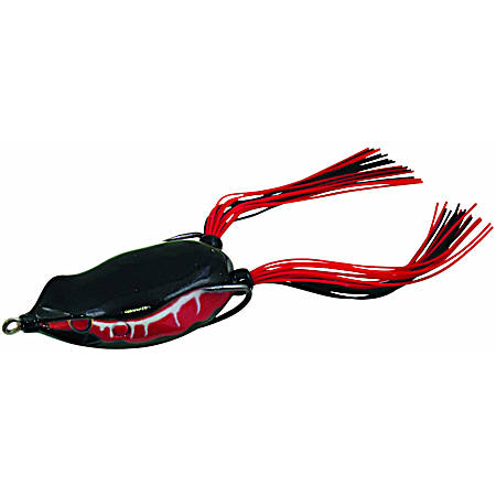 Bronzeye Frog 65 - Rainforest Black