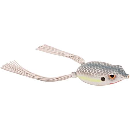 Bronzeye Frog 65 - Silver Snow