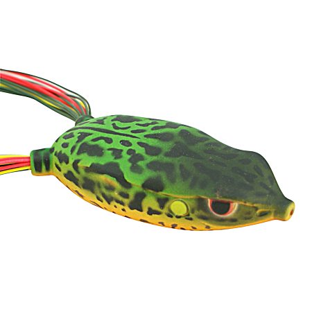 Bronzeye Frog Jr. - Amazon
