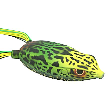 Bronzeye Frog 65 - Freak