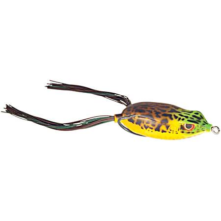 Bronzeye Frog 65 - Outback