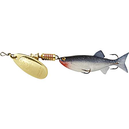 Comet Mino Spinner - Gold/Shad