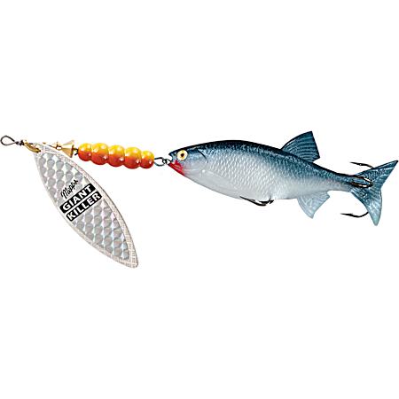 Giant Killer Mino 1-1/2 oz Rainbow Musky Bucktail