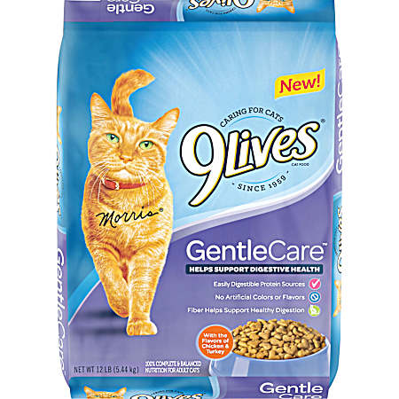 Gentle Care Adult Digestive Health Chicken & Turkey Dry Cat Food