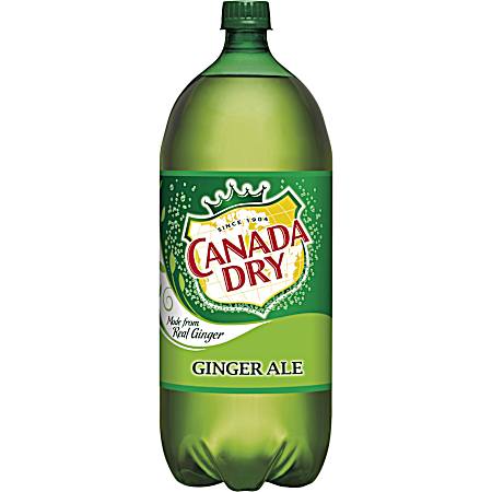 2 L Ginger Ale Soda
