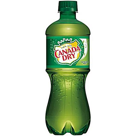 20 oz Ginger Ale Soda