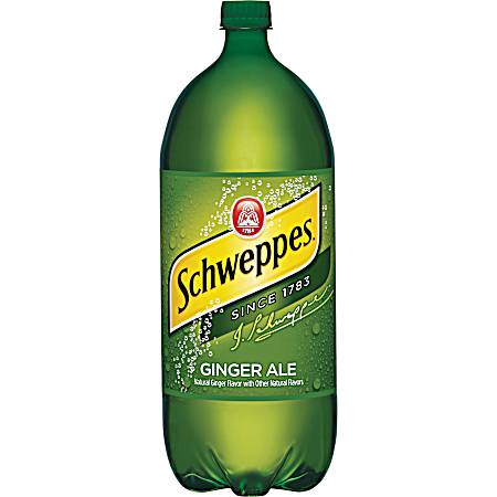 2 L Ginger Ale Soda