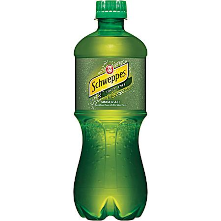 20 oz Ginger Ale Soda