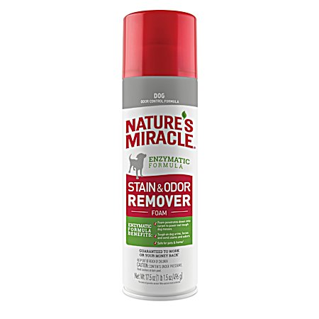 Dog Stain & Odor Remover Foam Aerosol
