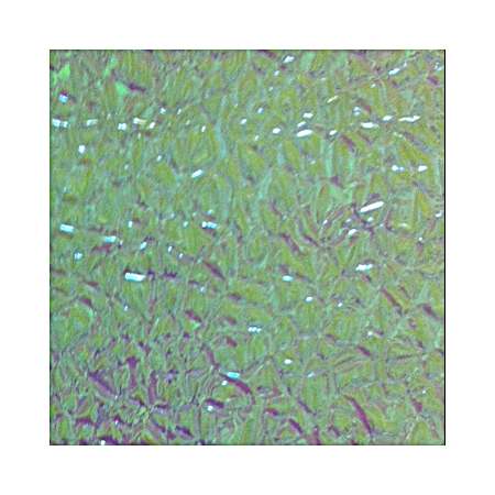 Decorator Tape - Crushed Pearl