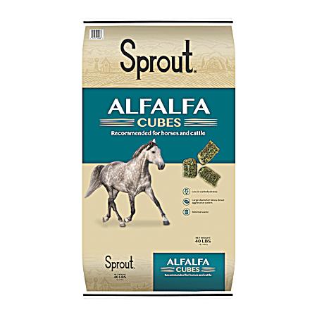 Alfalfa Cubes for Horses & Cattle