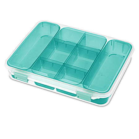 Clear Blue Divided Case