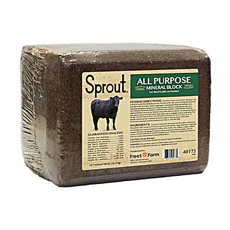 40 lb Cattle Mineral Block