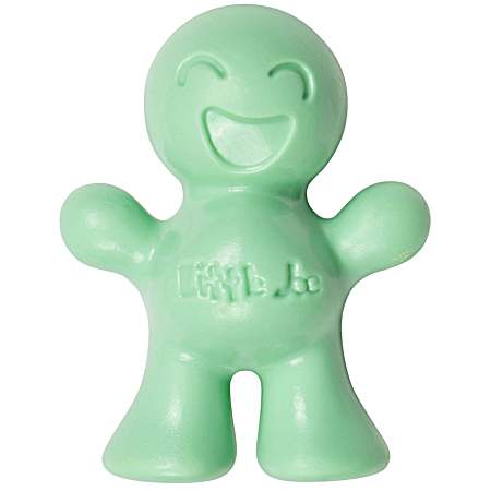 Fresh Mint Scent Air Freshener