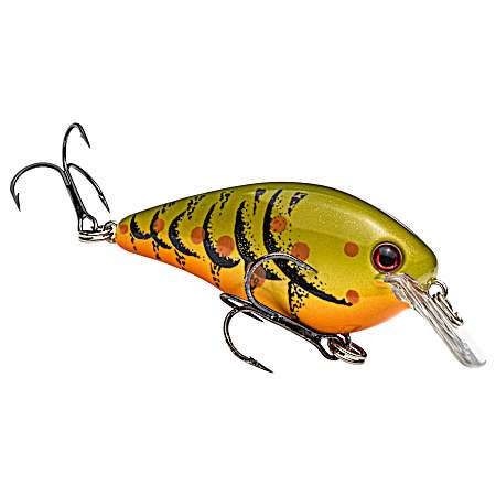 KVD Square Bill 1.5 - Green Pumpkin Craw