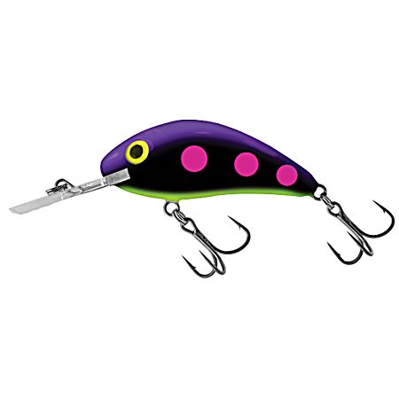 Blueberry Beast Rattling Hornet Floating Crankbait