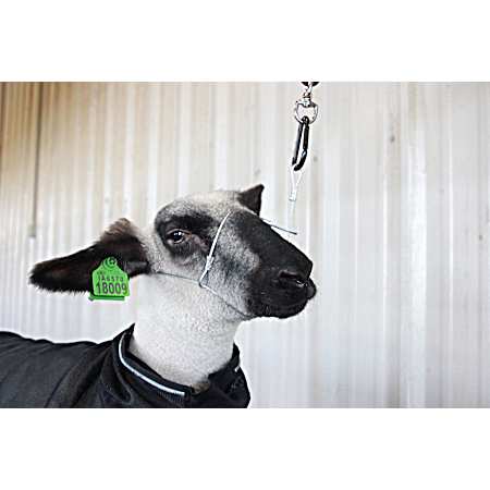 Cruise Control Cable Halter