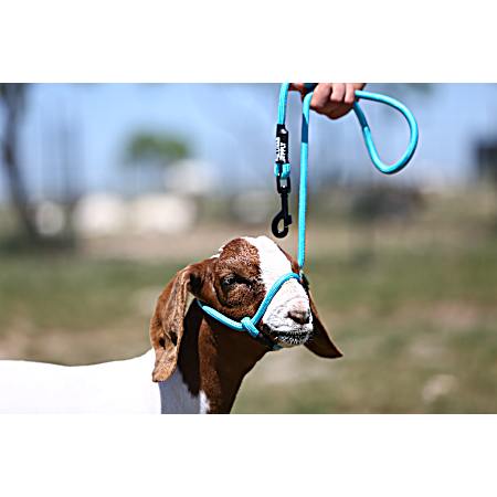 Blue Tide Sheep Halter w/ Snap Lead