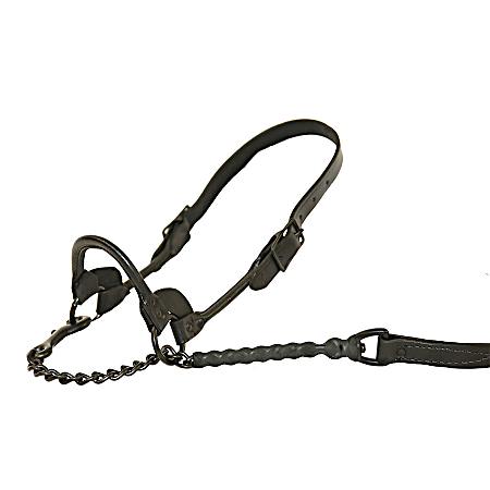 Black 1st Class Cattle Show Halter