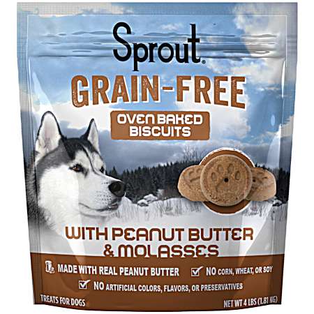 Grain-Free Oven Baked Biscuits Peanut Butter Flavor Dog Treats