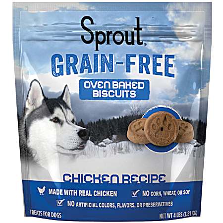 Grain-Free Oven Baked Biscuits Chicken Recipe Dog Treats