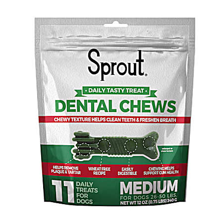 Medium Dental Chew Dog Treats