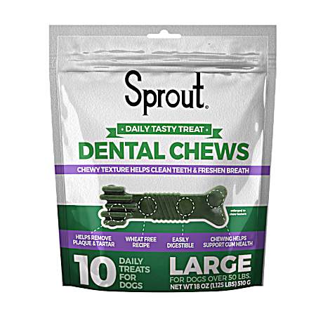 Large Dental Chew Dog Treats
