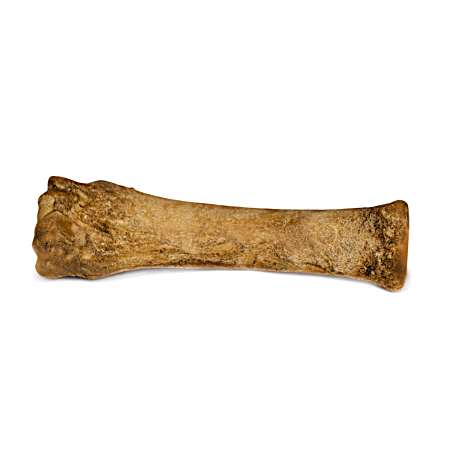 Healthy Edibles Roast Beef Dog Chew Treat