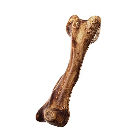 Healthy Edibles Large Real Venison Dog Chew Bone - 1 Pc