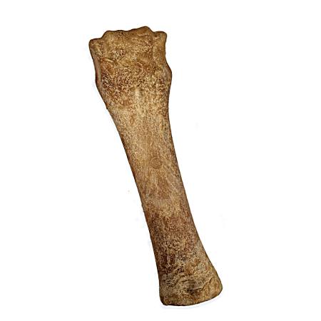 Natural NUBZ 6.7 oz Beef X-Large Edible Dog Chew
