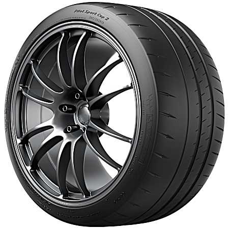 Pilot Sport Cup 2 Passenger Tire 285/30R20