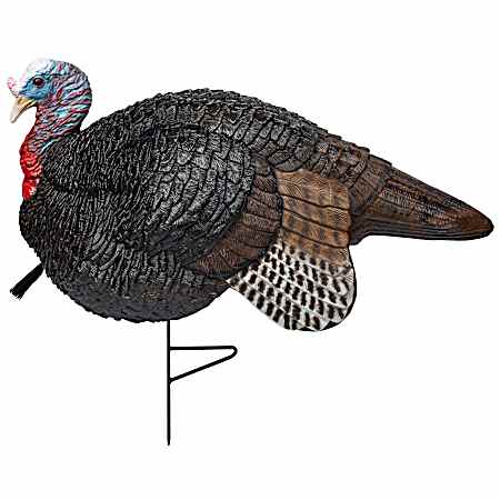 Gobstopper Lite Jake Turkey Decoy