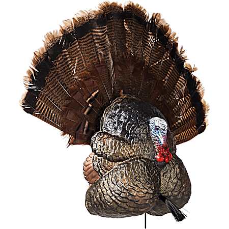 Thunder Creeper Tom Turkey Decoy