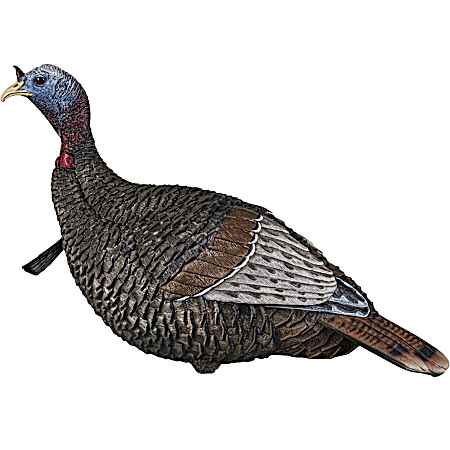 Thunder Jake Turkey Decoy