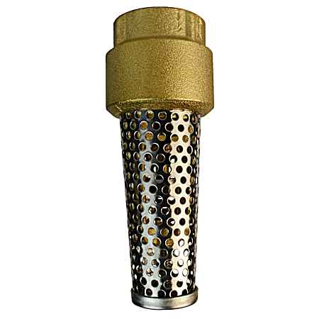 1 in Brass Foot Valve