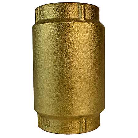 1-1/4 in Check Valve
