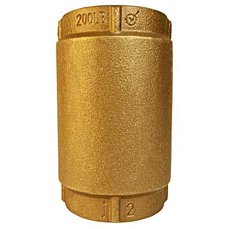 2 in Brass Check Valve